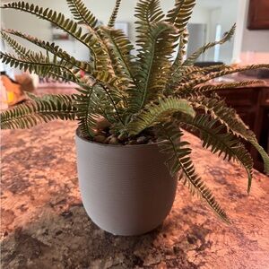 Green Artificial Fern Plant